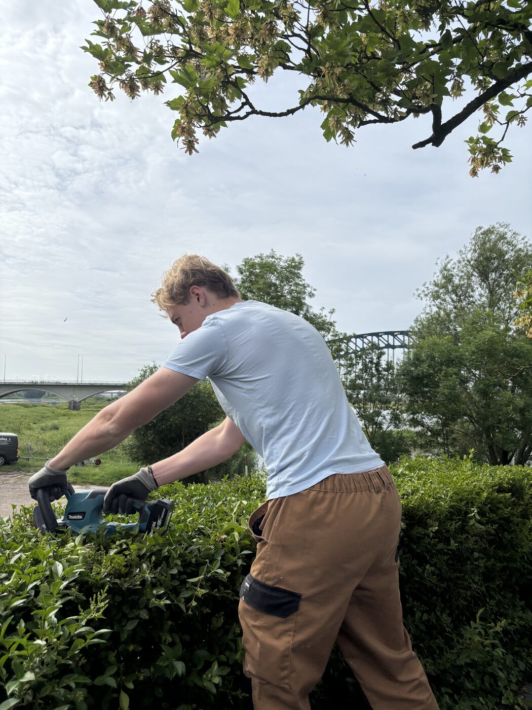 Medewerker van QJ Service Onderhoud snoeit een heg langs de IJssel