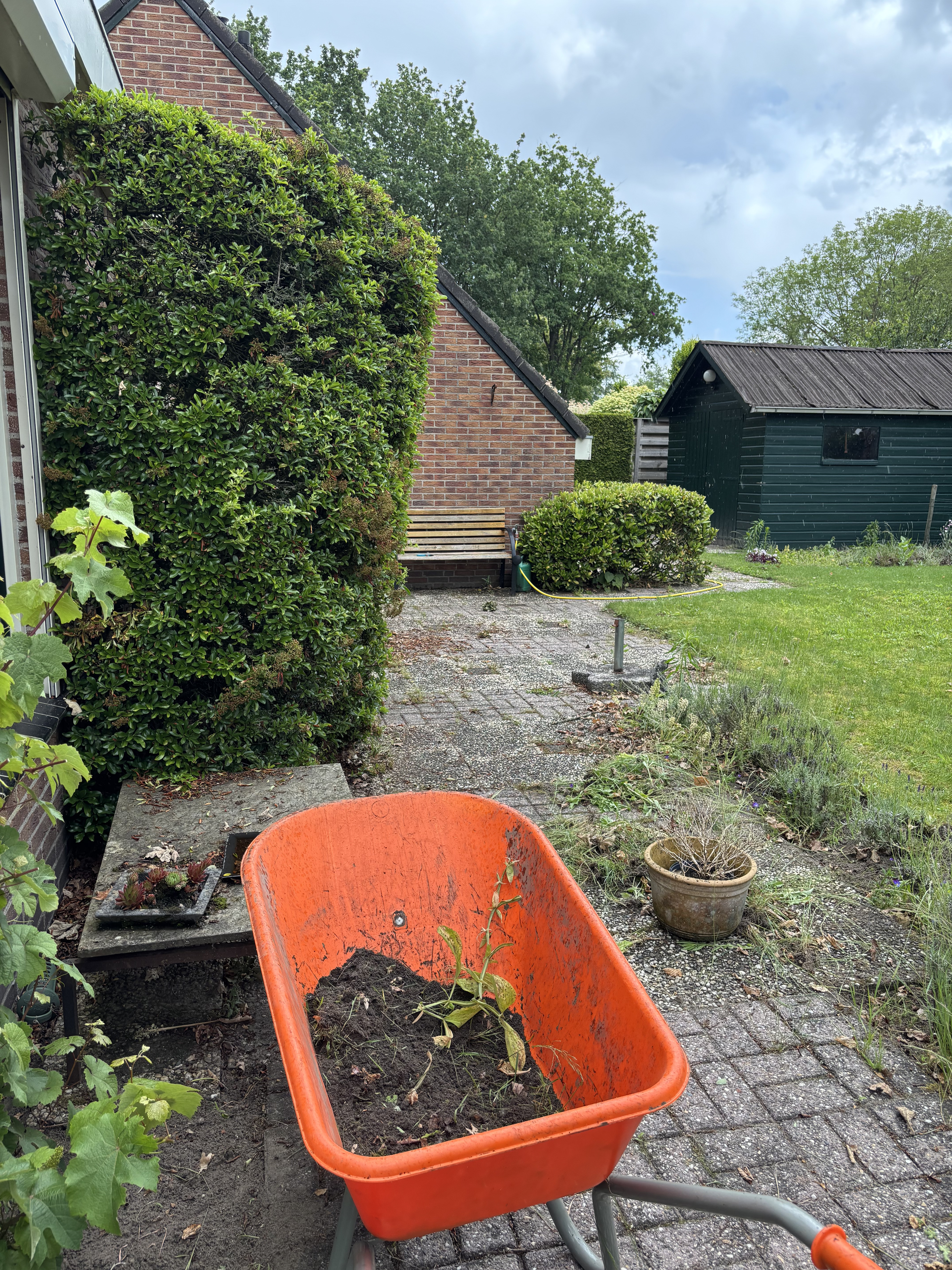 Tuinonderhoud in De Wijk uitgevoerd door QJ Service en Onderhoud — perkjes, tegels en borders